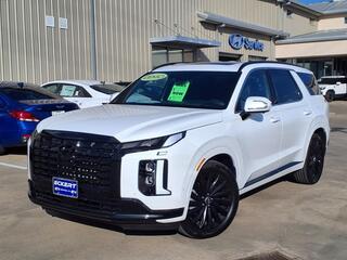 2025 Hyundai Palisade for sale in Denton TX