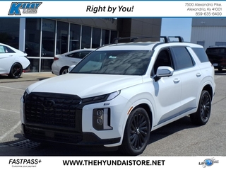2025 Hyundai Palisade
