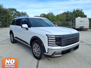 2026 Hyundai Palisade Hybrid for sale in Melbourne FL