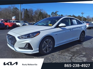 2018 Hyundai Sonata Hybrid for sale in Louisville TN