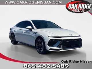 2024 Hyundai Sonata for sale in Oak Ridge TN