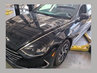 2021 Hyundai Sonata Hybrid for sale in Johnson City TN