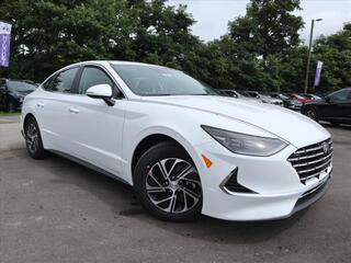 2023 Hyundai Sonata Hybrid for sale in Knoxville TN