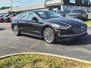 2023 Hyundai Sonata Hybrid for sale in Burlington NC