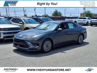 2025 Hyundai Sonata Hybrid for sale in Alexandria KY