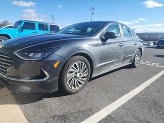 2023 Hyundai Sonata Hybrid for sale in Johnson City TN