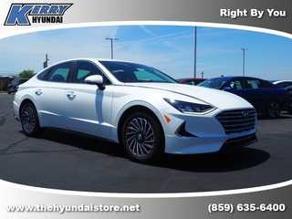 2021 Hyundai Sonata Hybrid for sale in Alexandria KY