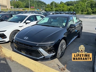 2024 Hyundai Sonata Hybrid for sale in Johnson City TN