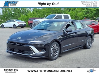 2025 Hyundai Sonata Hybrid for sale in Alexandria KY