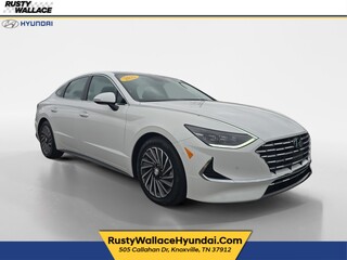 2022 Hyundai Sonata Hybrid for sale in Knoxville TN