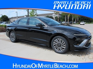 2024 Hyundai Sonata Hybrid for sale in Myrtle Beach SC