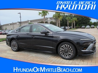 2024 Hyundai Sonata Hybrid for sale in Myrtle Beach SC