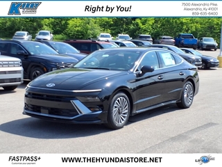 2025 Hyundai Sonata Hybrid for sale in Alexandria KY