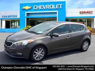 2015 Kia Forte5