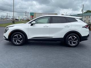 2023 Kia Sportage Hybrid for sale in Morristown TN