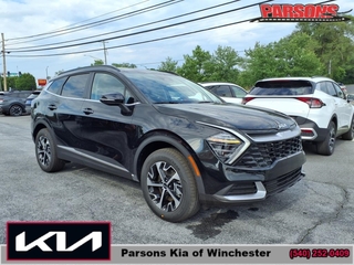 2025 Kia Sportage Hybrid for sale in Winchester VA