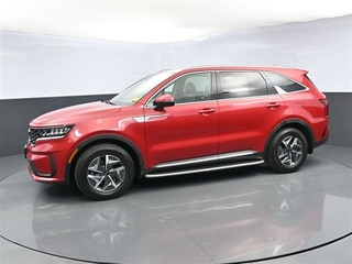 2021 Kia Sorento Hybrid for sale in Winchester VA