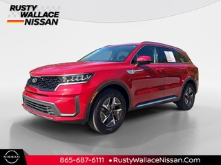 2021 Kia Sorento Hybrid for sale in Knoxville TN