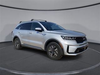 2022 Kia Sorento Hybrid for sale in Wake Forest NC