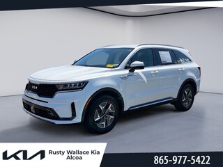 2023 Kia Sorento Hybrid for sale in Louisville TN