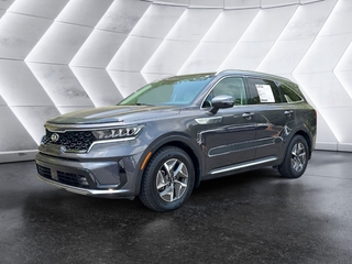 2021 Kia Sorento Hybrid for sale in Knoxville TN