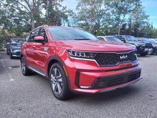 2023 Kia Sorento Hybrid for sale in New Haven CT