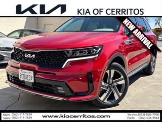 2022 Kia Sorento Plug-In Hybrid for sale in Cerritos CA