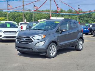 2019 Ford Ecosport for sale in Woodhaven MI