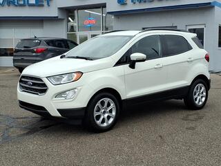 2020 Ford Ecosport for sale in Taylor MI