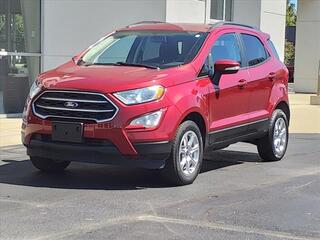 2019 Ford Ecosport for sale in Shelbyville IN
