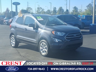 2022 Ford Ecosport for sale in Flat Rock MI