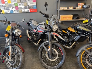 1995 Not Specified Himalayan