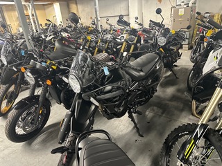 1996 Not Specified Himalayan