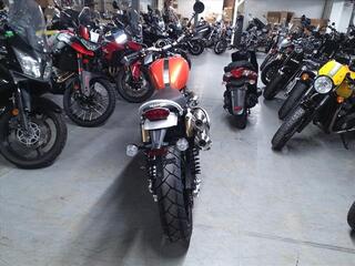 2024 Triumph Scrambler