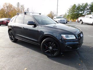 2015 Audi SQ5