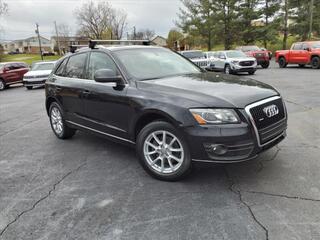 2009 Audi Q5