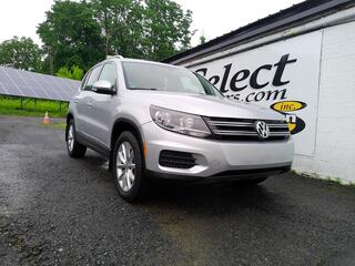 2017 Volkswagen Tiguan for sale in Waterloo NY