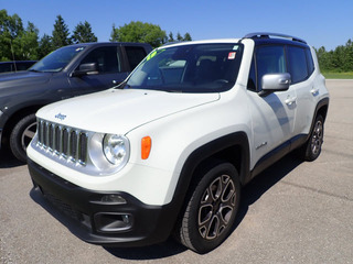 2015 Jeep Renegade for sale in Pickford MI