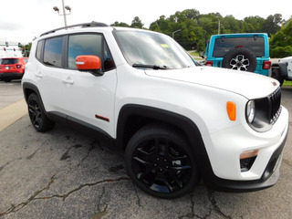 2020 Jeep Renegade for sale in Clarksville TN