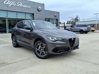 2025 Alfa Romeo Stelvio for sale in Spring TX